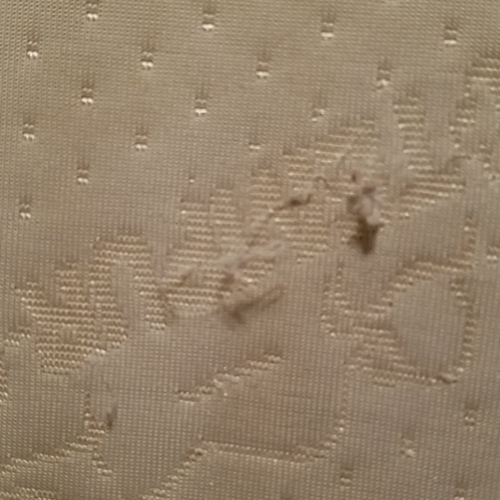 Pillow - Picture 6 of 7